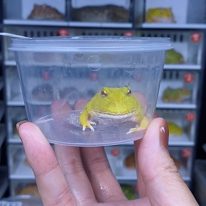 特价秒杀现货特价
