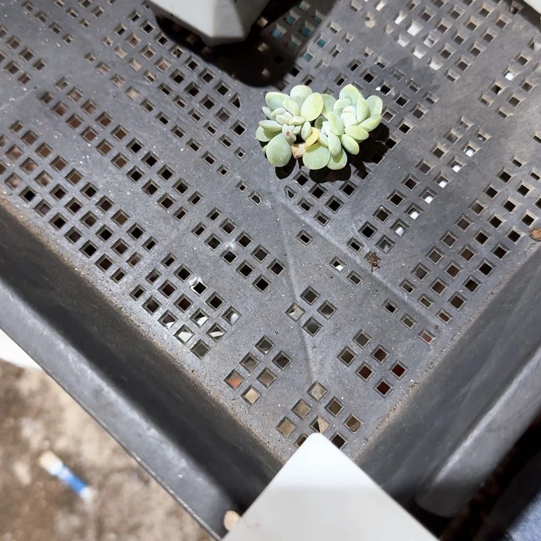 04284一物一拍专拍