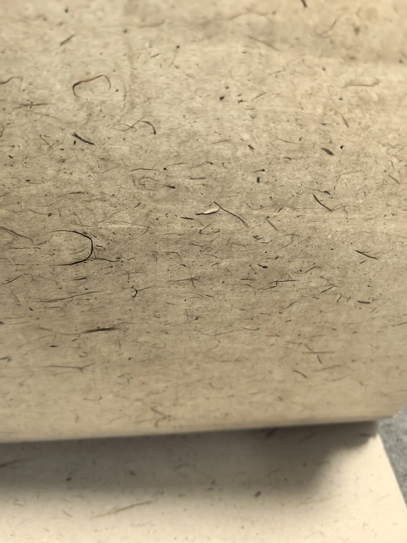 大尺寸手工云龙皮纸  31×248本色云龙皮纸