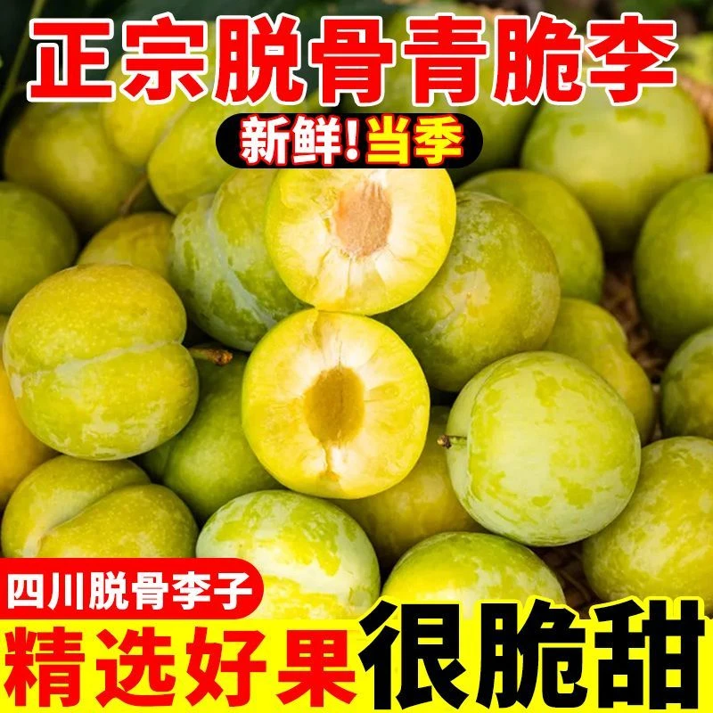 正宗四川脱骨青脆李新鲜应季水果脆甜多汁