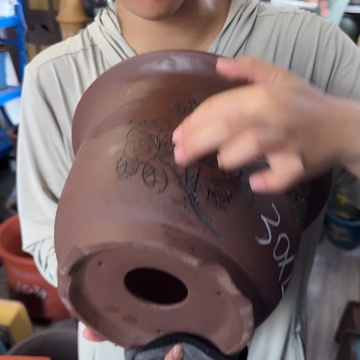 30平角金钟花盆×5个