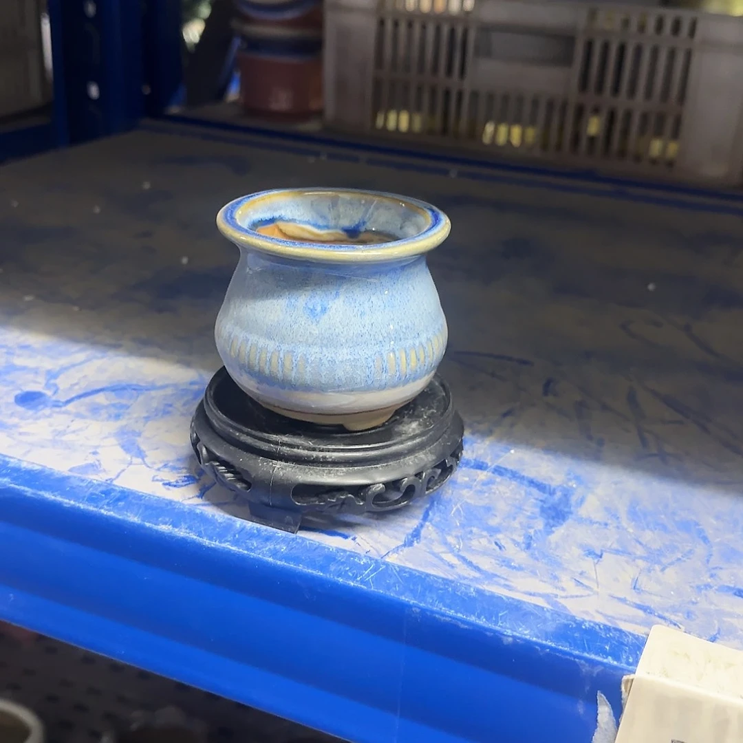 陶瓷送塑料托盘，凑9元发3077