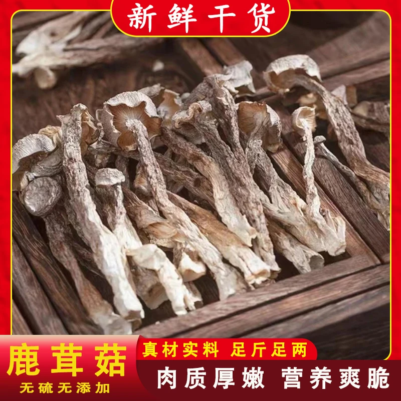 【高山鹿茸菇】农家新鲜干货批发肥厚炒菜鲜美炒肉无硫鹿茸菇干货