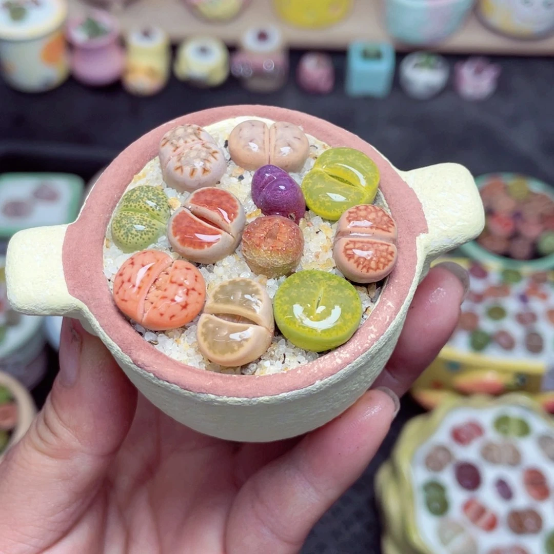 w8776 带盆土发货-零下地区拍保温箱