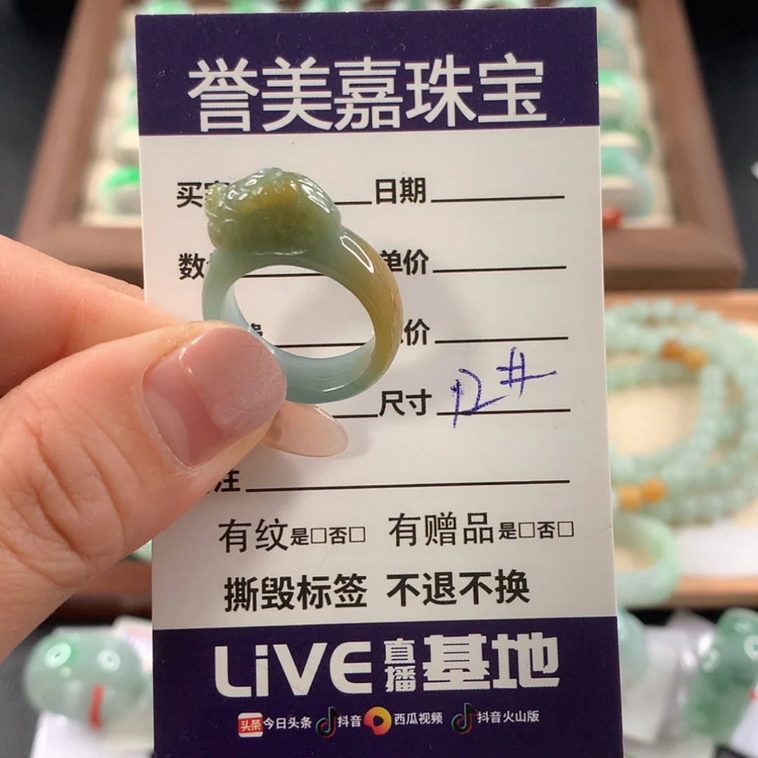 【闪购商品】颈饰未镶嵌翡翠