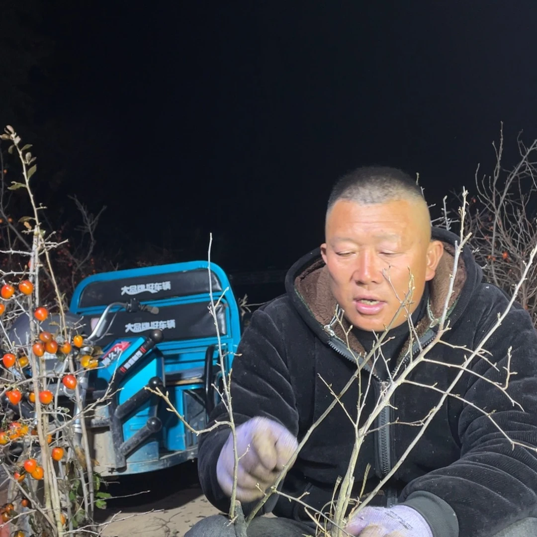 完全开放随机发货，不挑不选