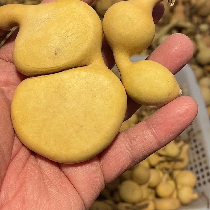 爱*惠精品葫芦手把葫芦12