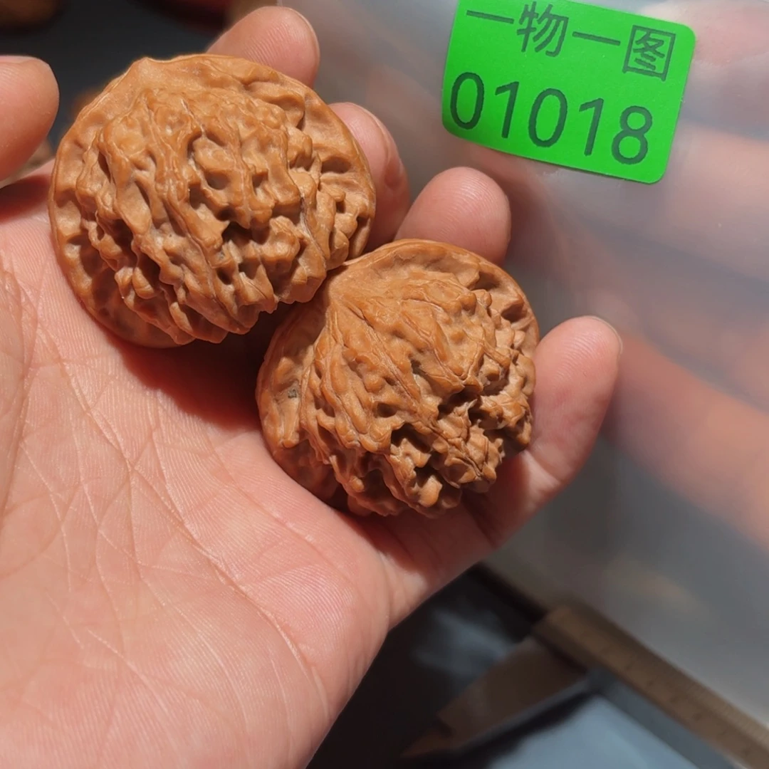 吊坠文玩核桃红珊瑚