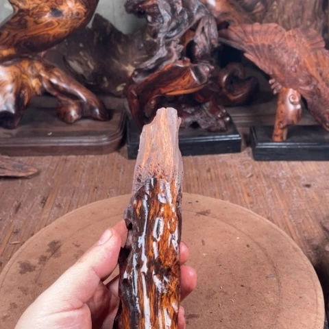 黄花梨/降香黄檀陌*