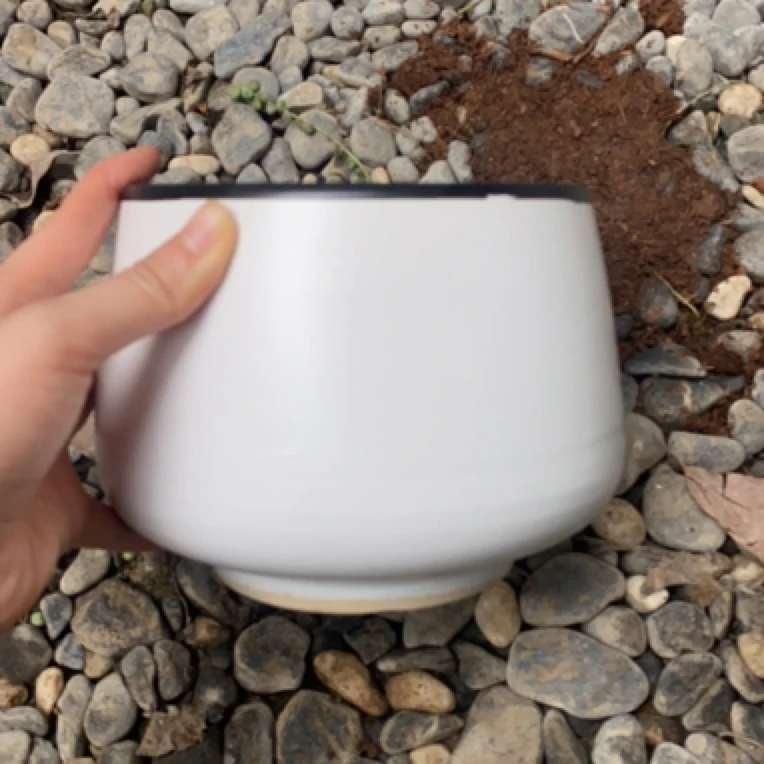 黑边白色小号南瓜盆