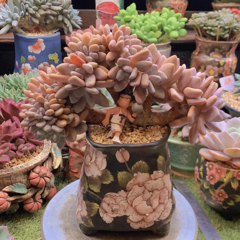 【闪购商品】彩虹粉兔