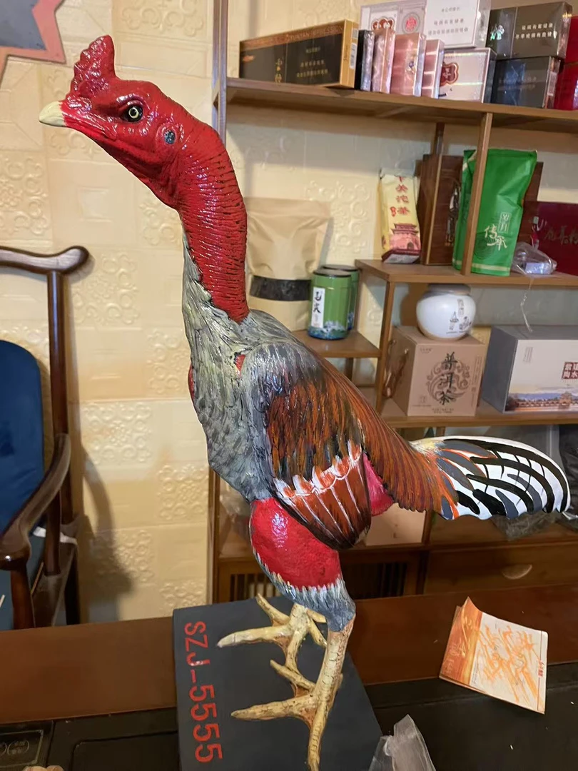 精品斗鸡图片标本