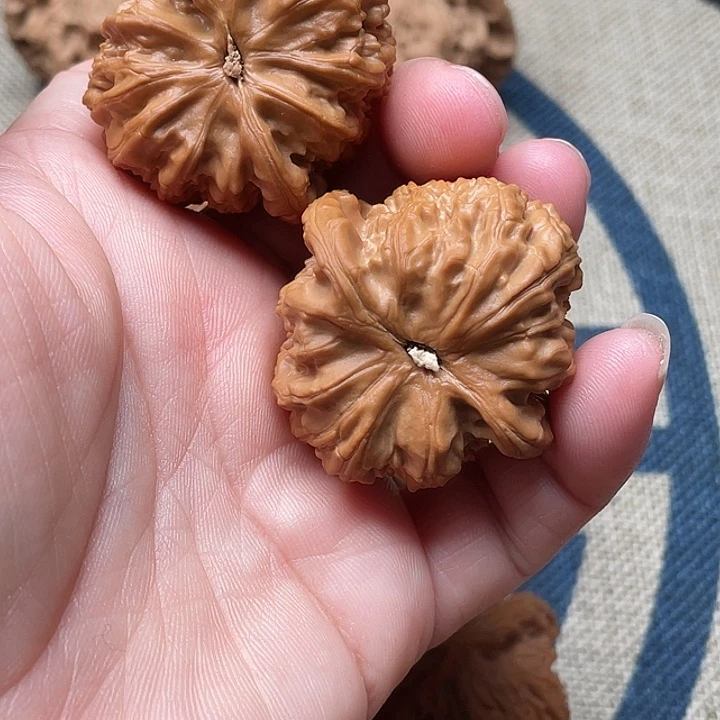 一***生文玩核桃把件全品白狮子