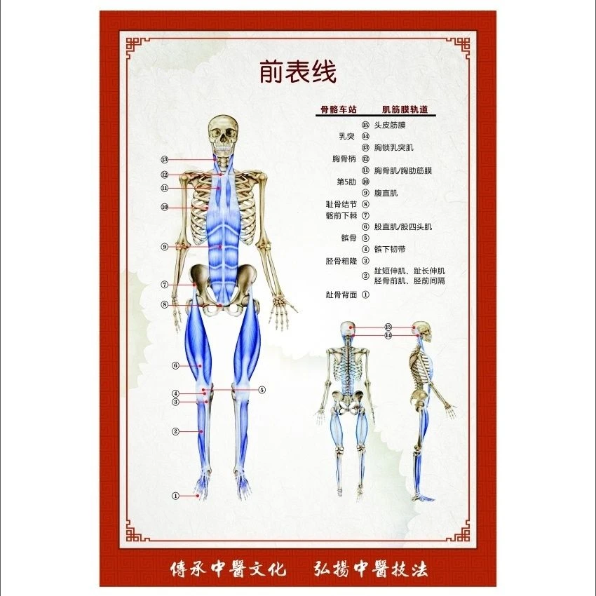 筋膜链图解说存优盘（不带图）思路/手法不支持退货退款