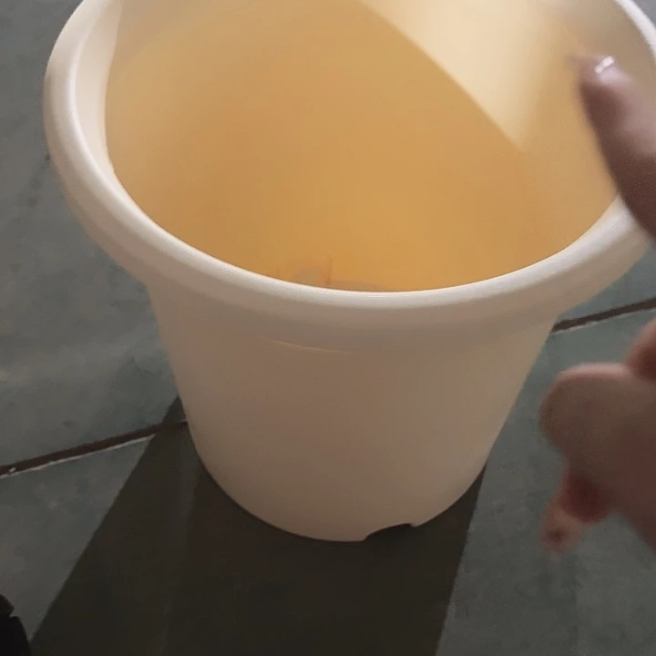 四季7号米黄无托6个特价微瑕