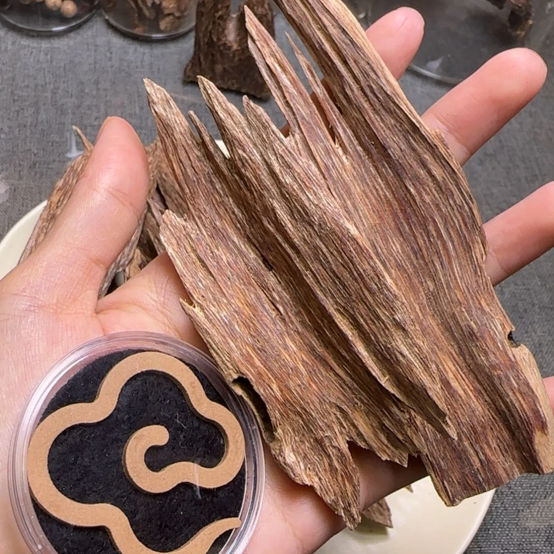 海南虫漏碎料16.9克