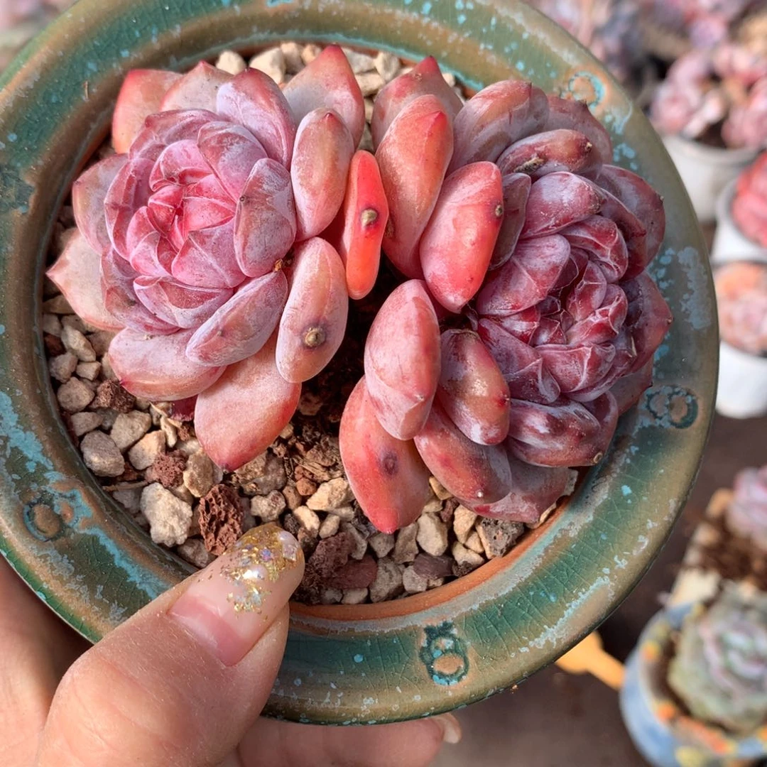 哈哈哈哈哈哈哈哈哈哈