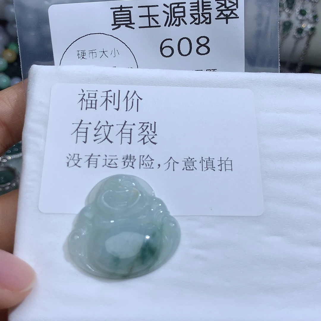 翡翠未镶嵌颈饰608。