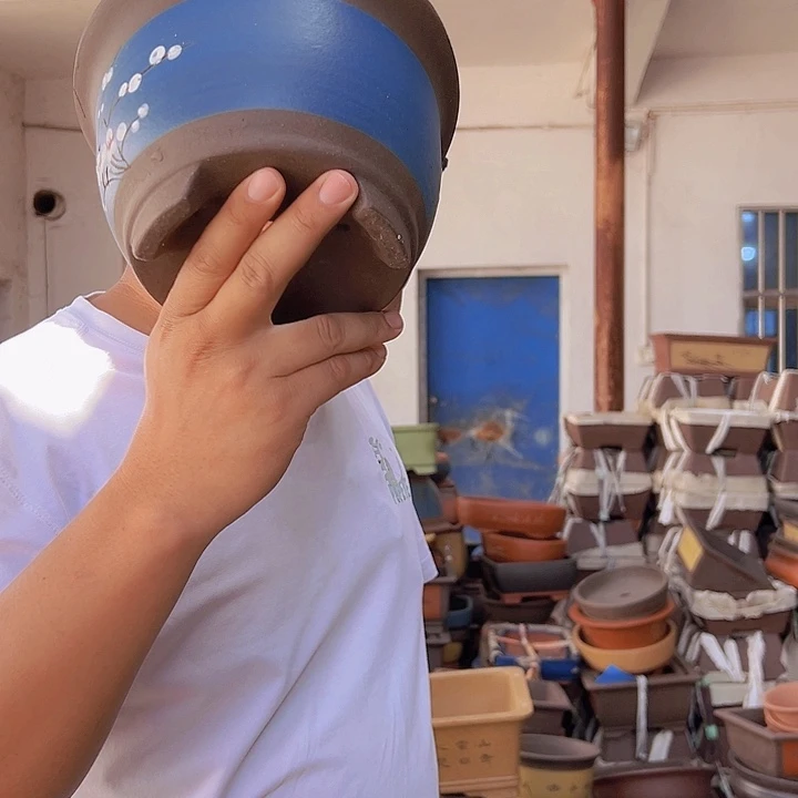 紫砂花盆紫砂花盆