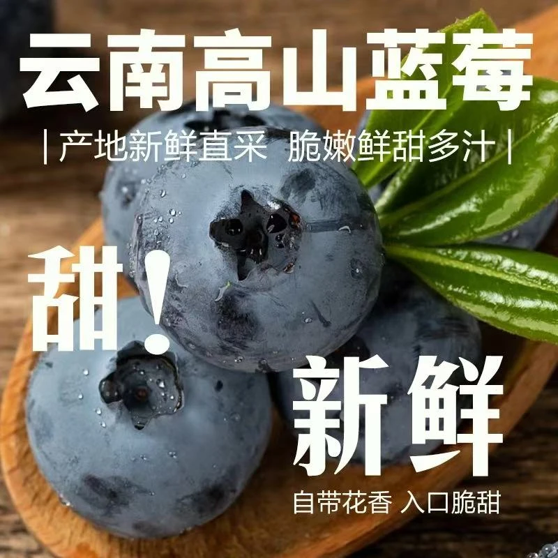 【精品大果!】云南露天花香蓝莓高山种植现采现发净25