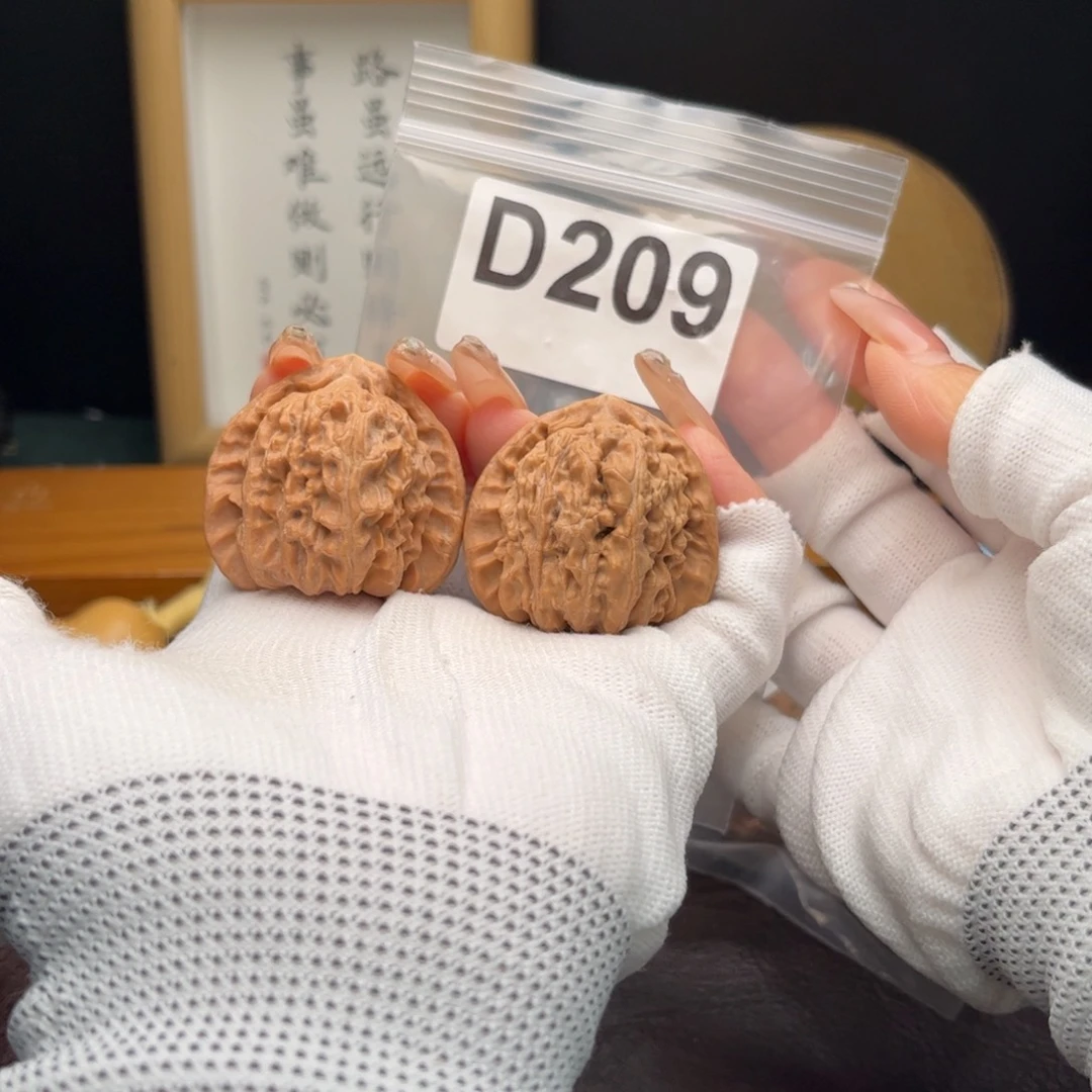 把件文玩核桃39白狮子d209