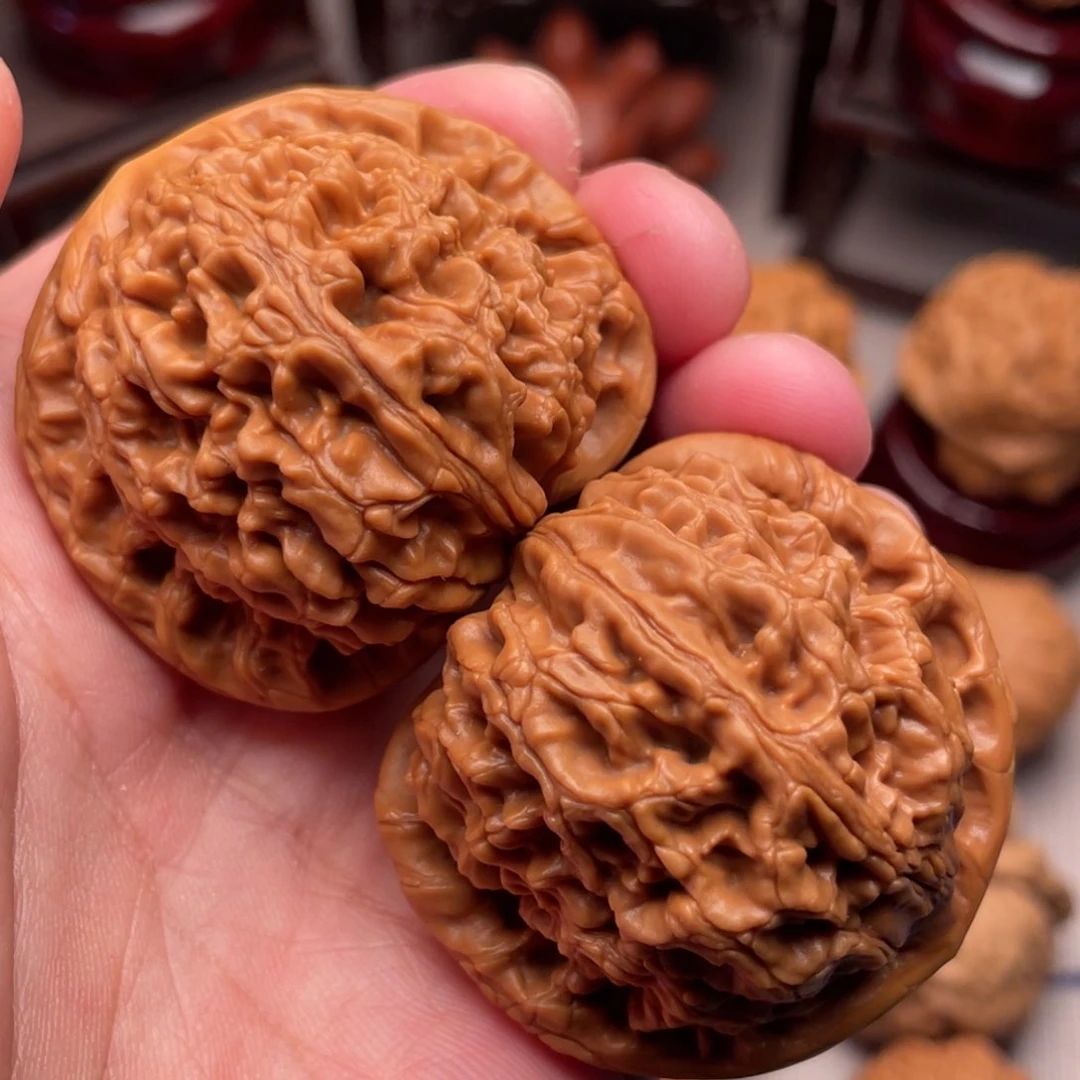 爆肉球体小众水龙42+红皮山地果