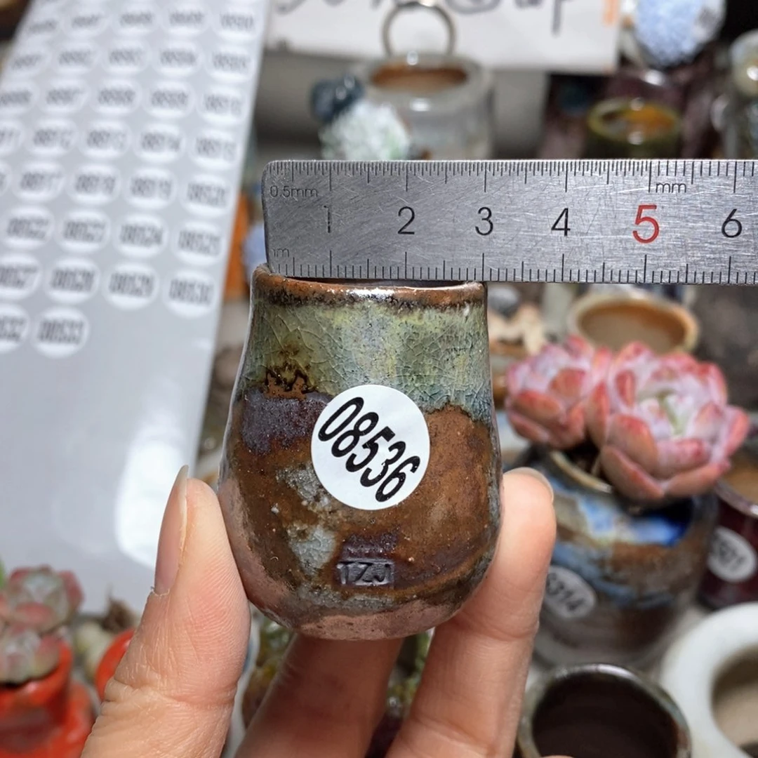 j**c花盆拍5送一个小礼物