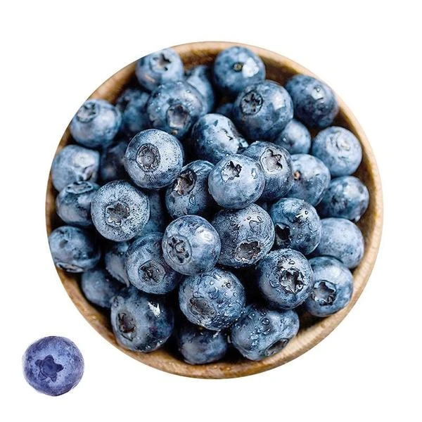 新鲜蓝莓125g14-17mm花香蓝莓江苏连云港发货