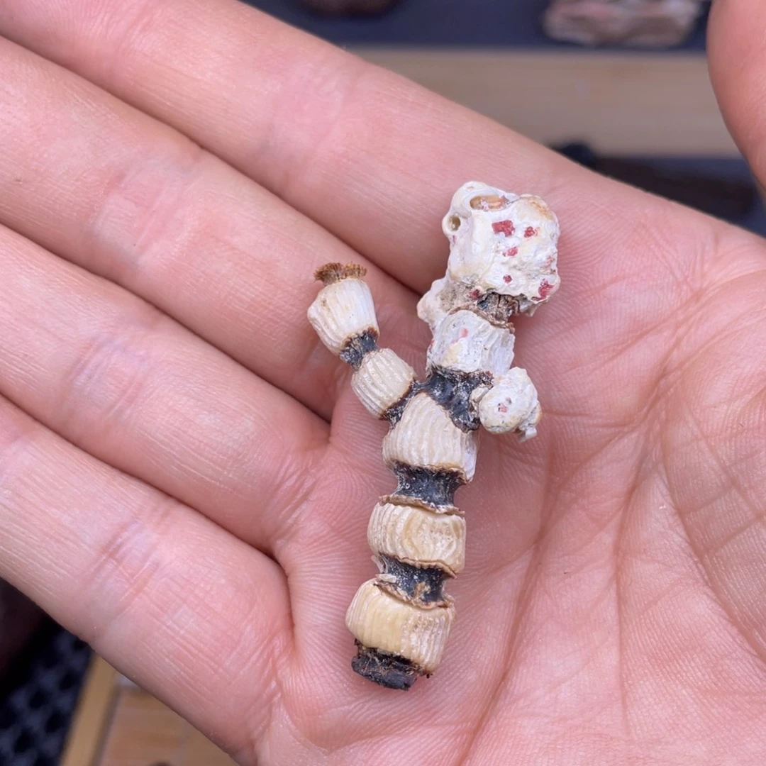 阿***哥8800888888888888888