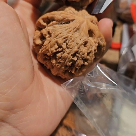 文玩核桃吊坠47.5粗