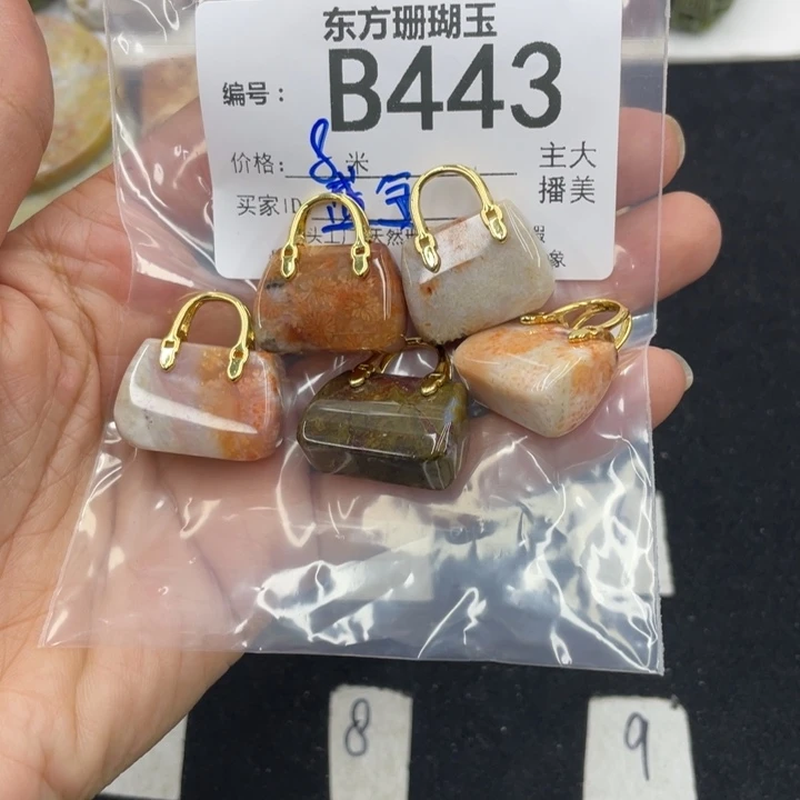 硅化珊瑚（珊瑚玉）颈饰合金盛****队