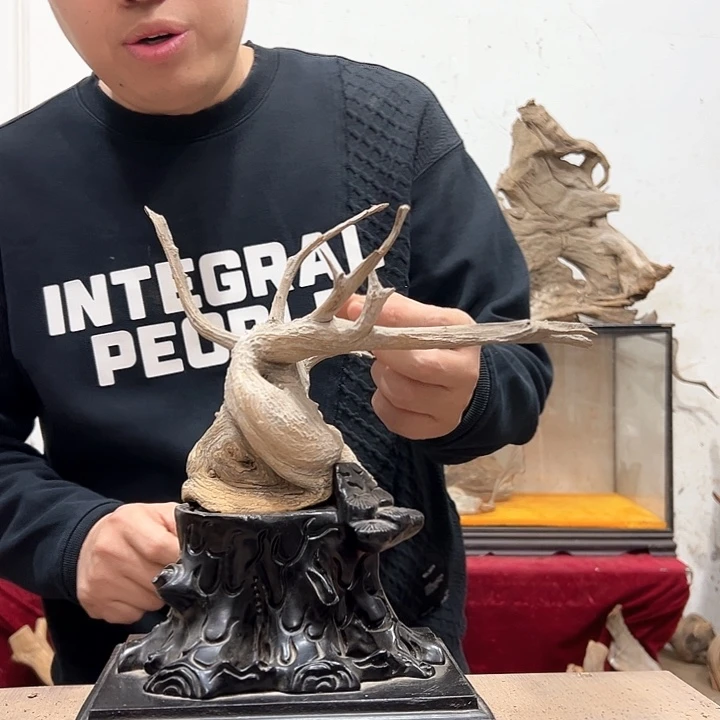 柏木q*e我们的生活是以自己为