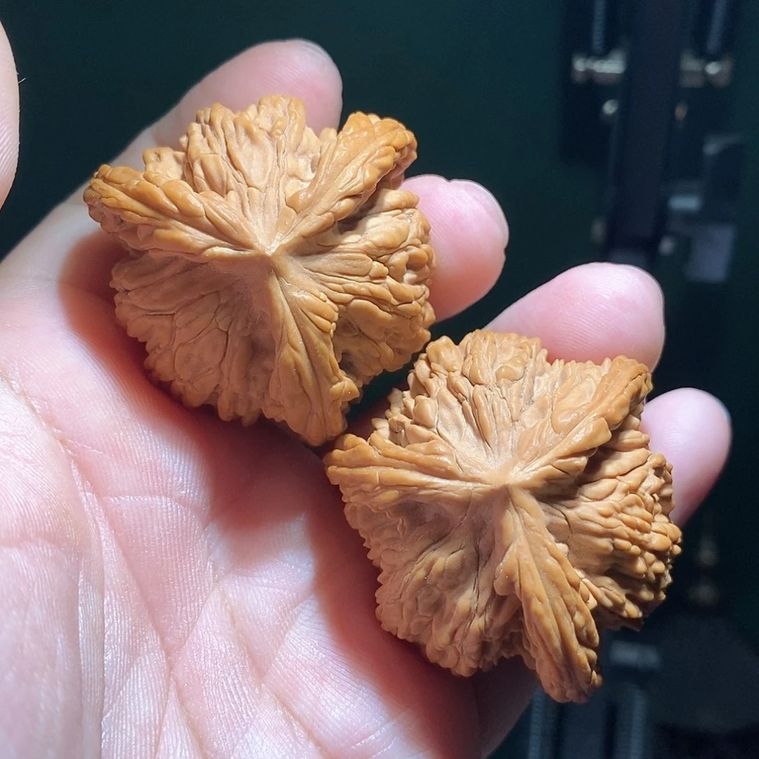 文玩核桃把件45虎头奔