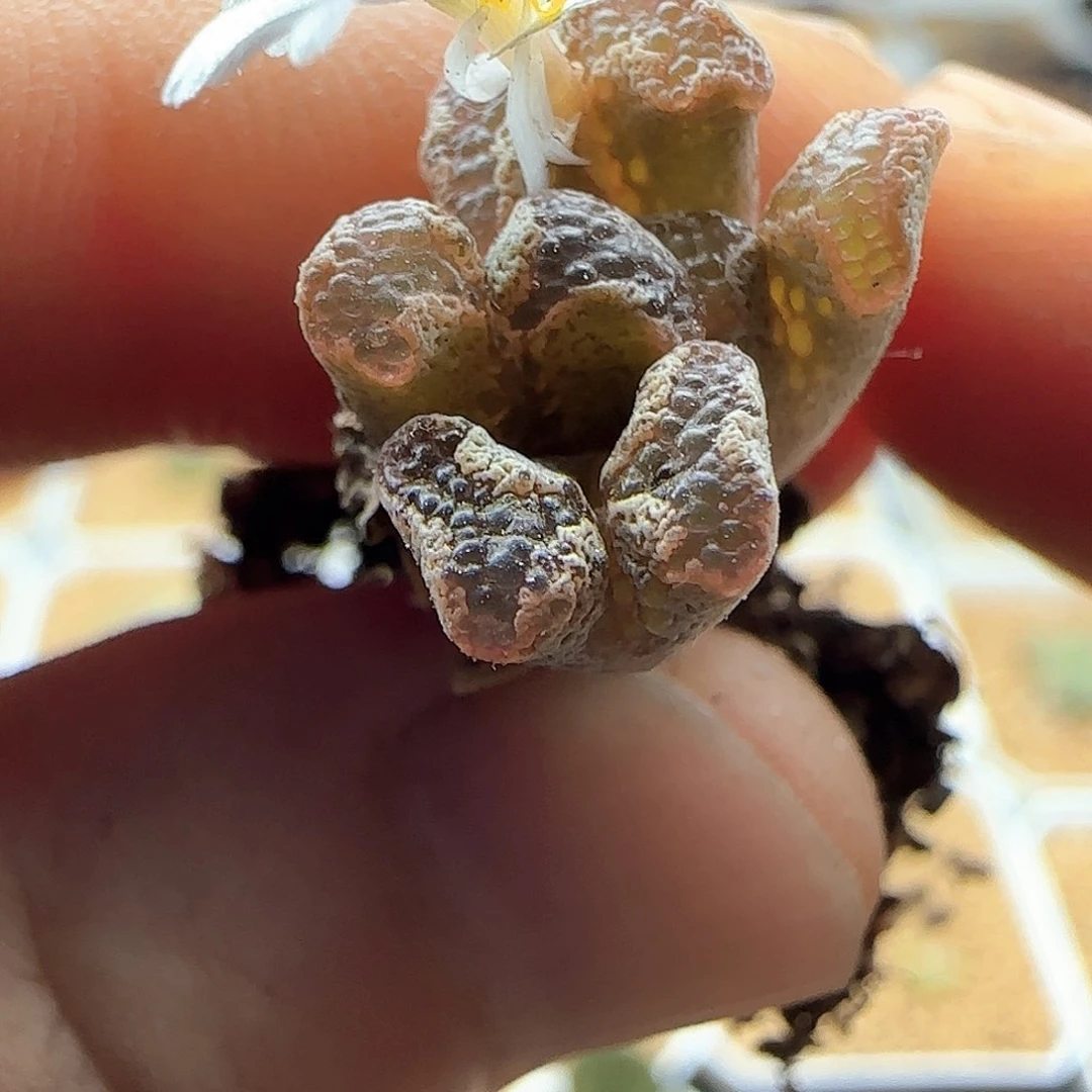 安***然哈哈哈哈哈哈哈45397