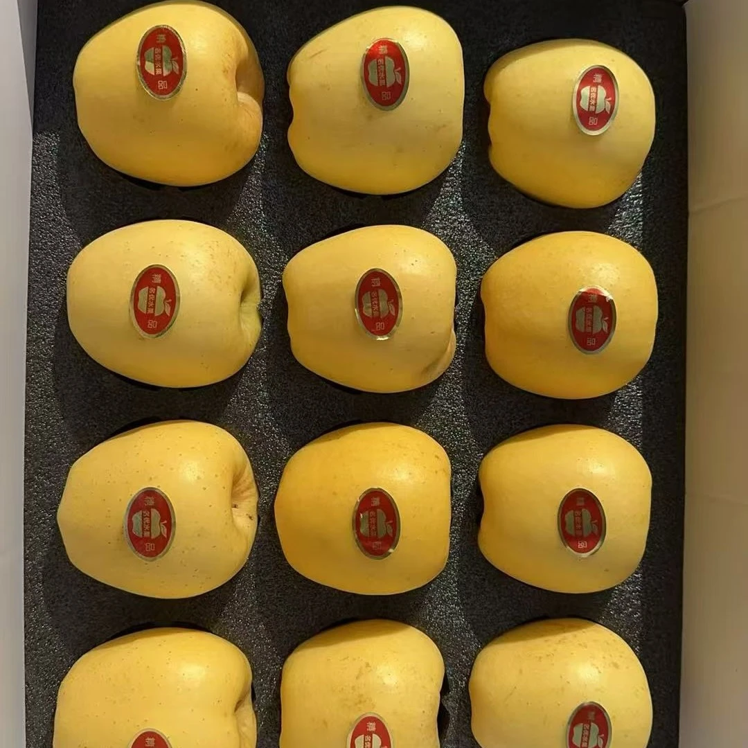 新鲜现摘脆甜多汁苹果当季水果