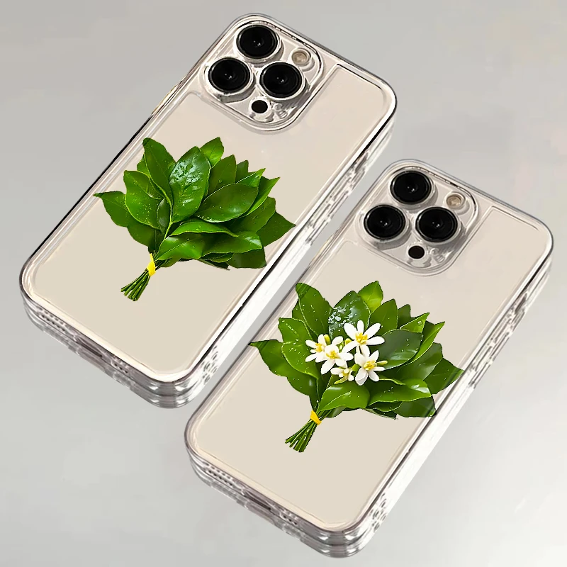 透明柚子叶适用iPhone17/16太空壳手机壳苹果15华为vivo小米oppo