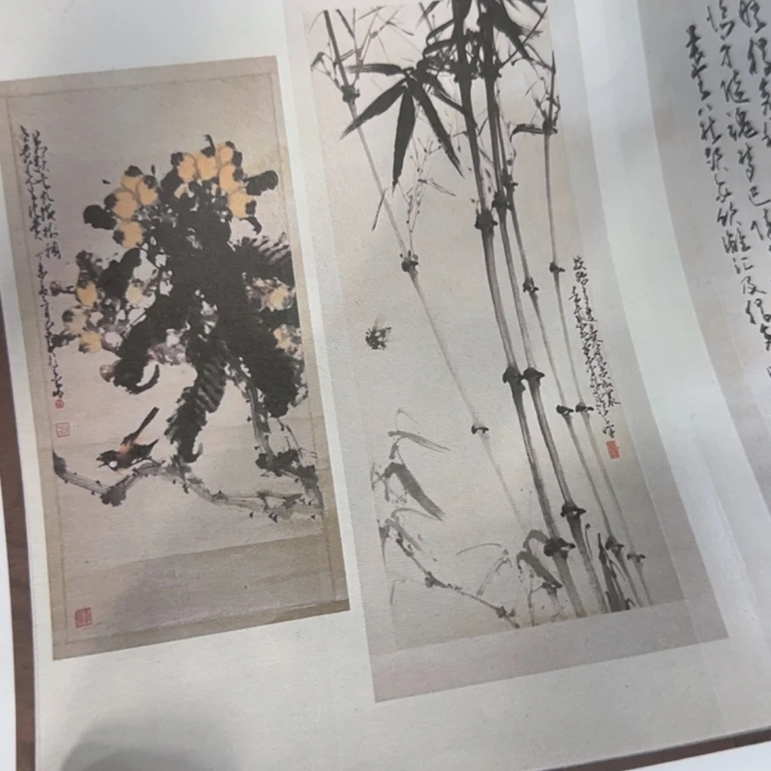 南***雪国画12446746655565555