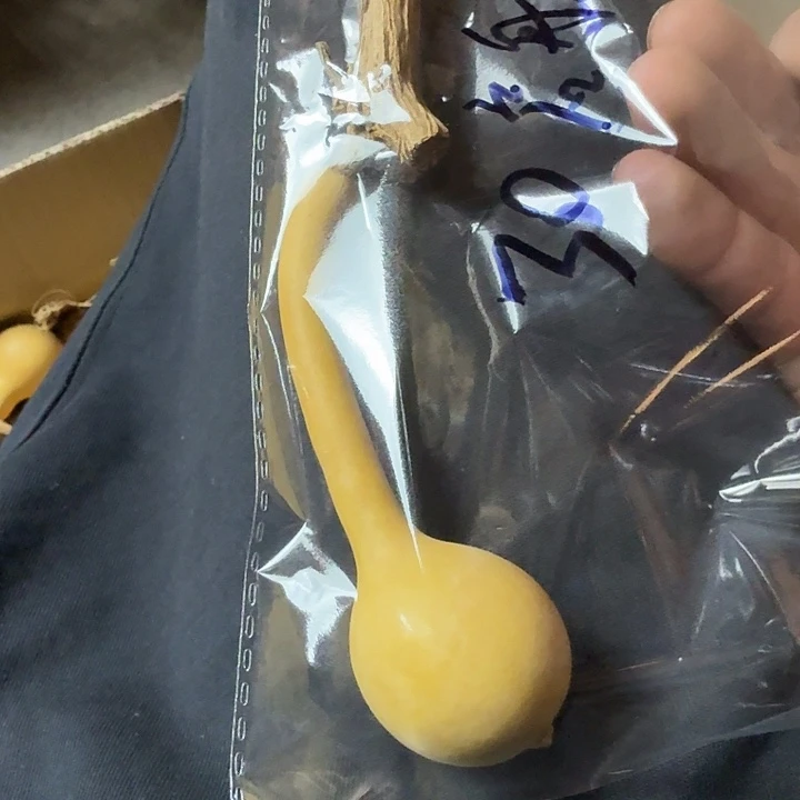 启*我也不知道我为什么要这样