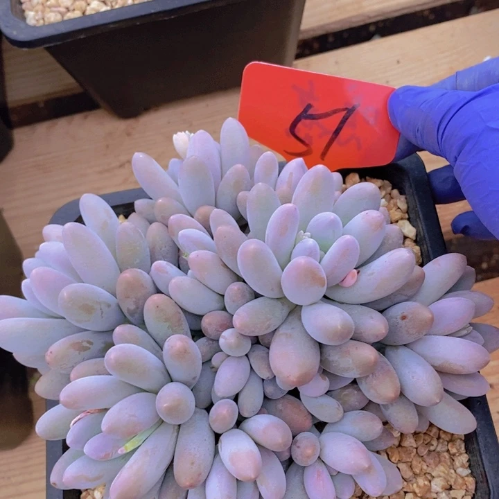 这种事情不可能不