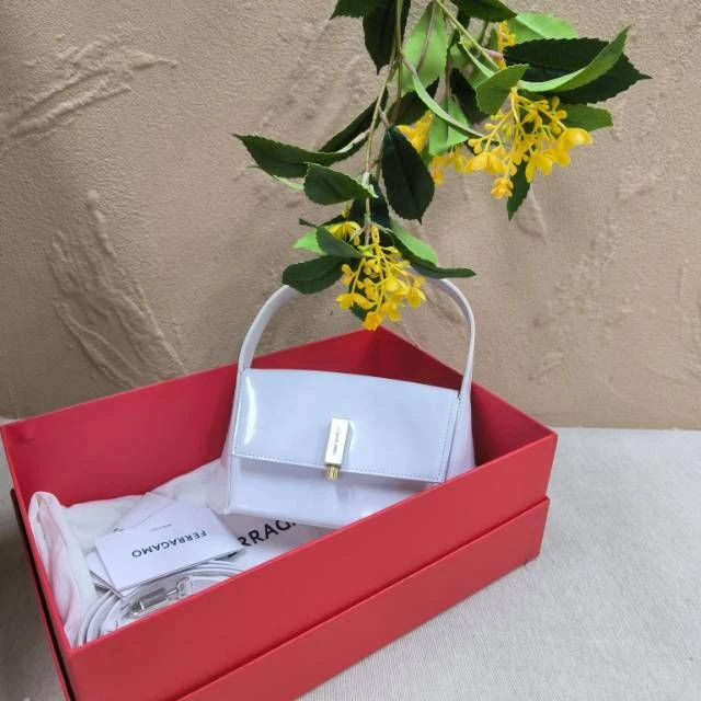 未使用/菲拉格慕/C14034222413/[251109zbb]