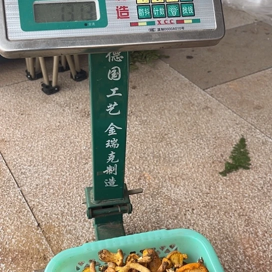 柚***运鸡枞菌超好吃中国大陆鸡油菌