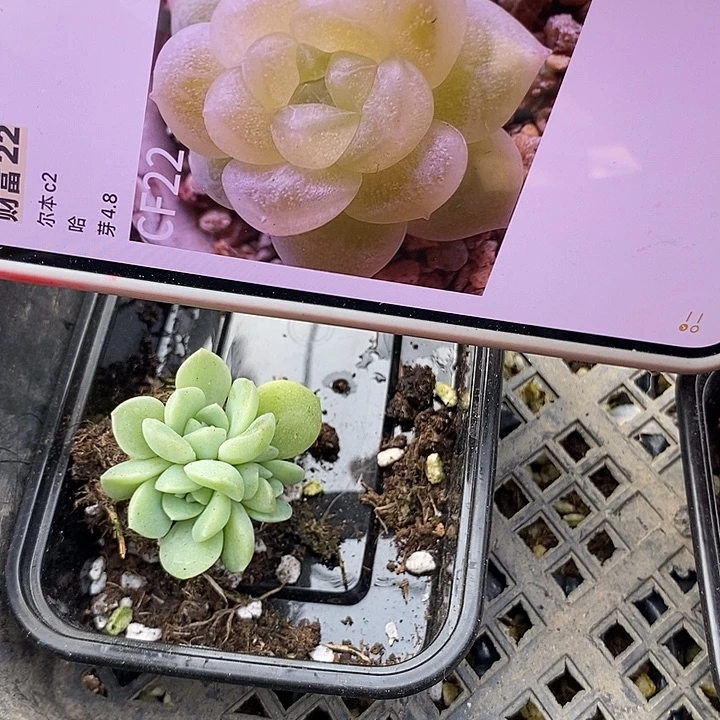 标416财富c22群一个