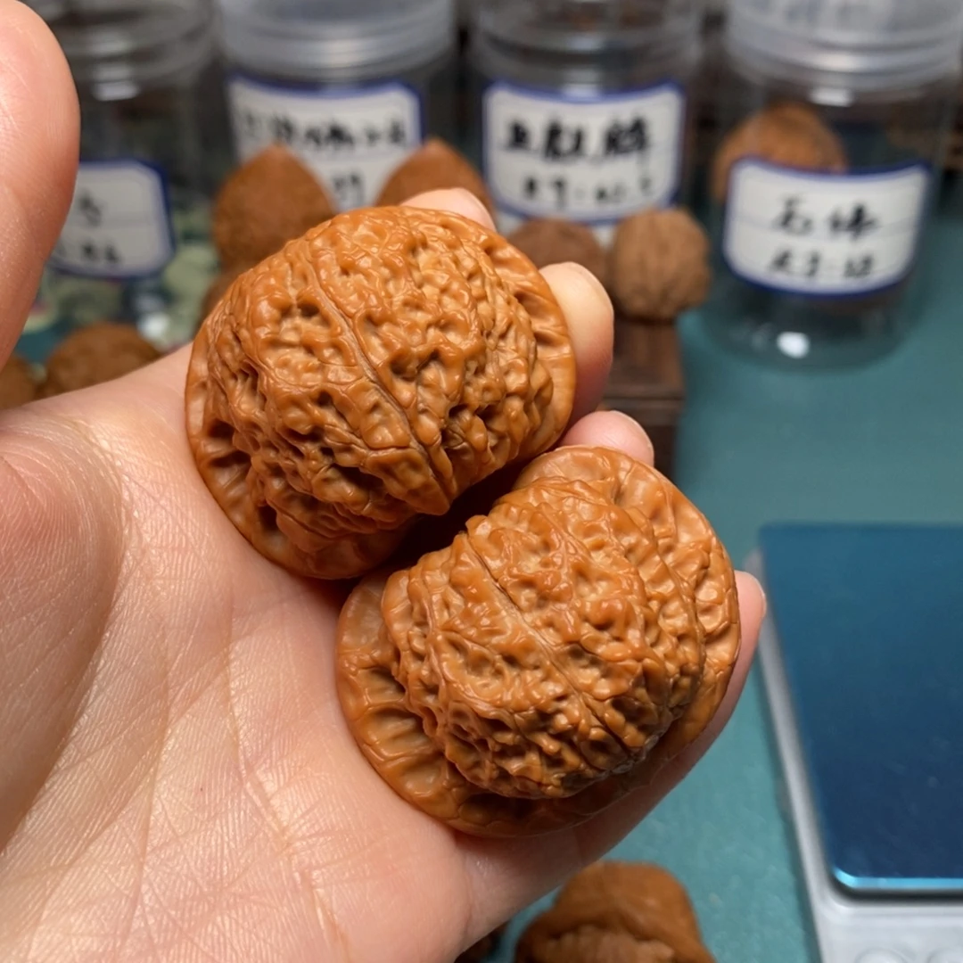 动***长核桃42.5尺全品血麒麟