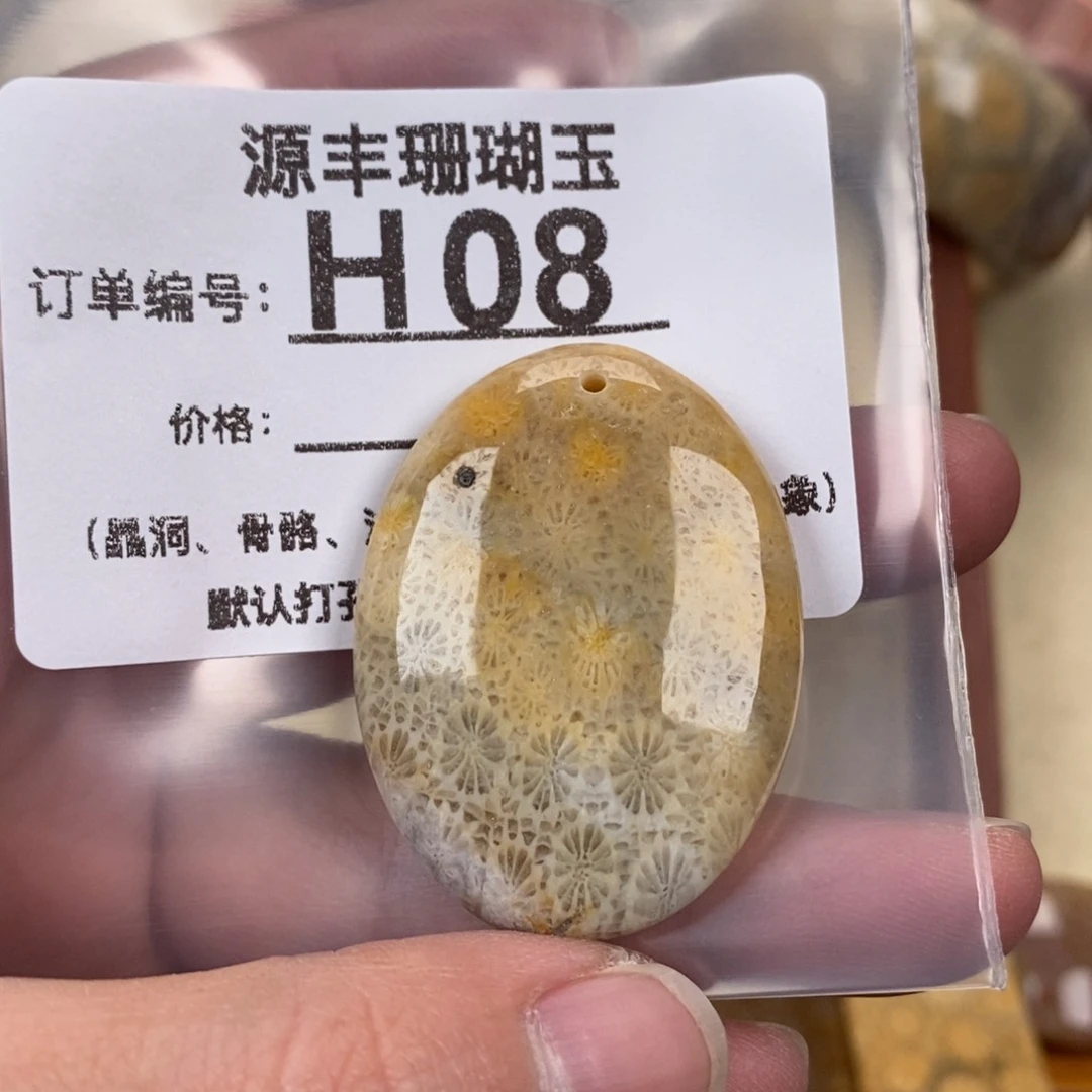 硅化玉颈饰未镶嵌R****