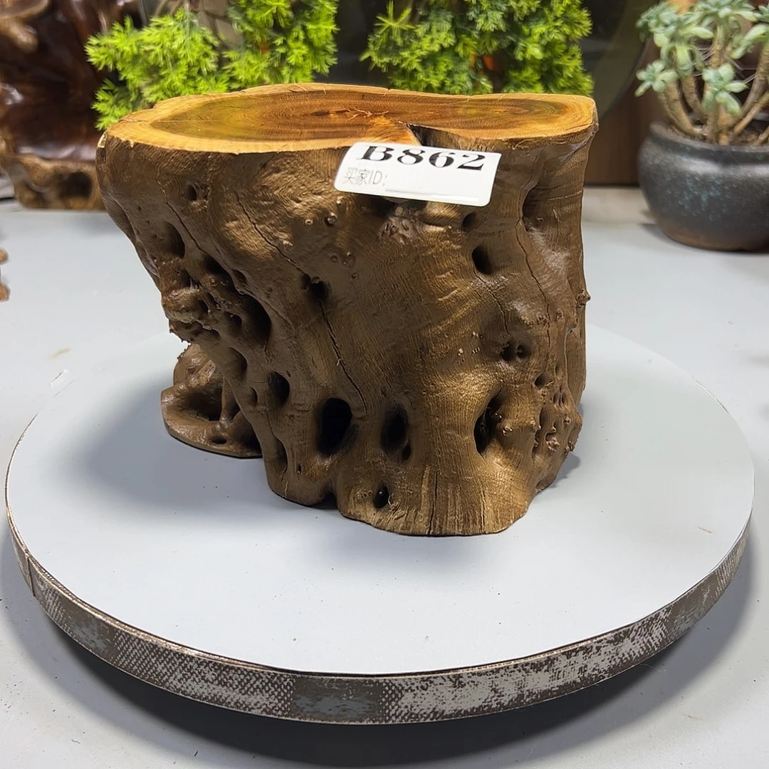 大果紫檀（缅甸花梨）静*