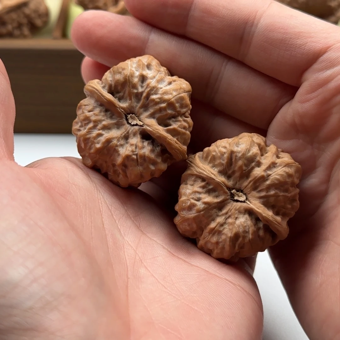 把件核桃延庆蛤蟆