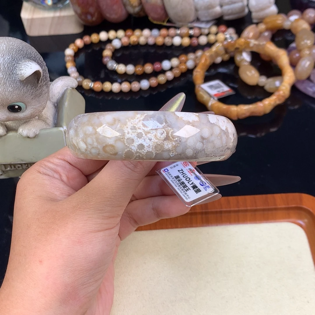 【闪购商品】颈饰未镶嵌硅化珊瑚（珊瑚玉）