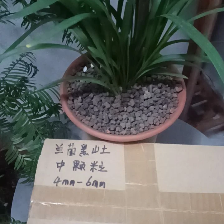 残***阳兰菌颗粒中颗粒6.6斤