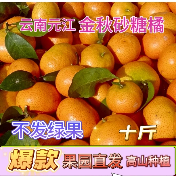 金秋砂糖橘云南元江特级10斤甜当季新鲜水果沙糖桔高山种植现摘