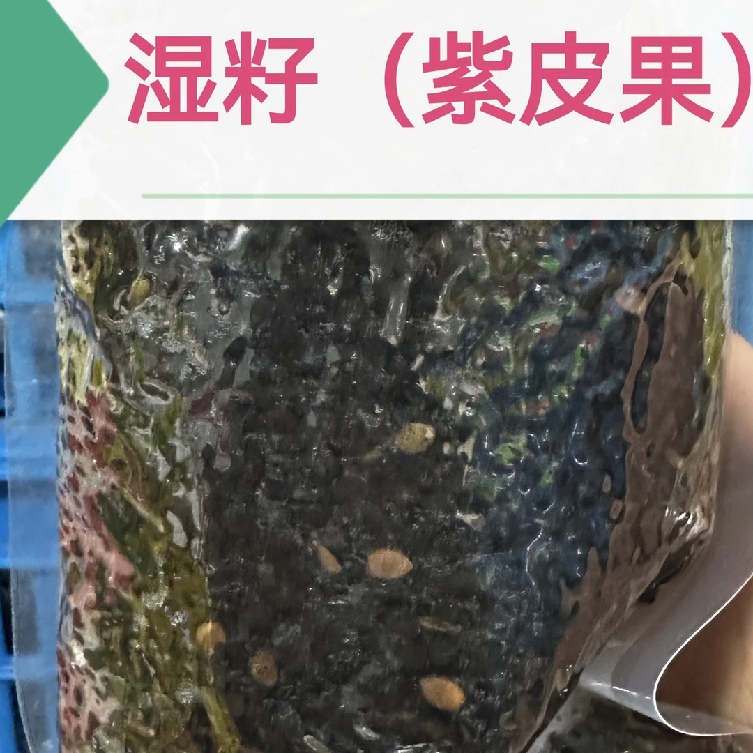 百香果（纯湿籽原味）（微甜湿籽）